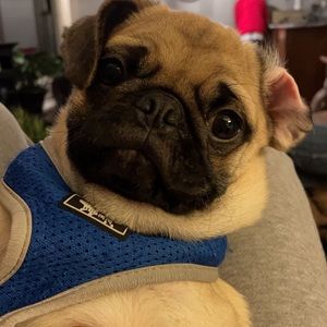 Meet your Posher, Hope